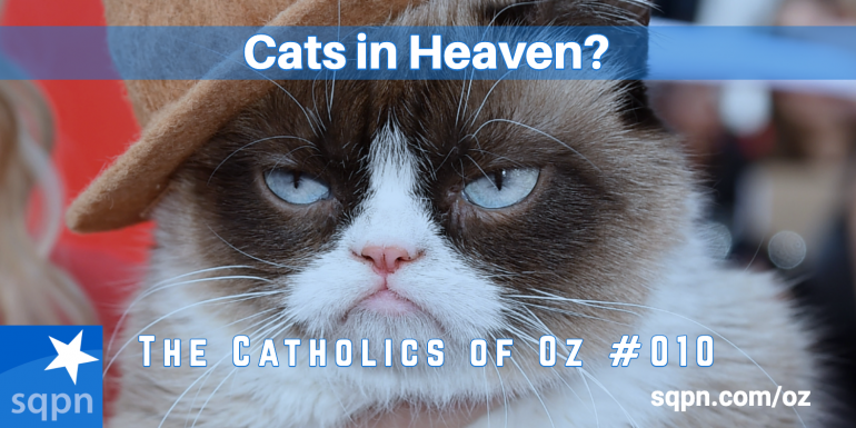 Cats in Heaven?