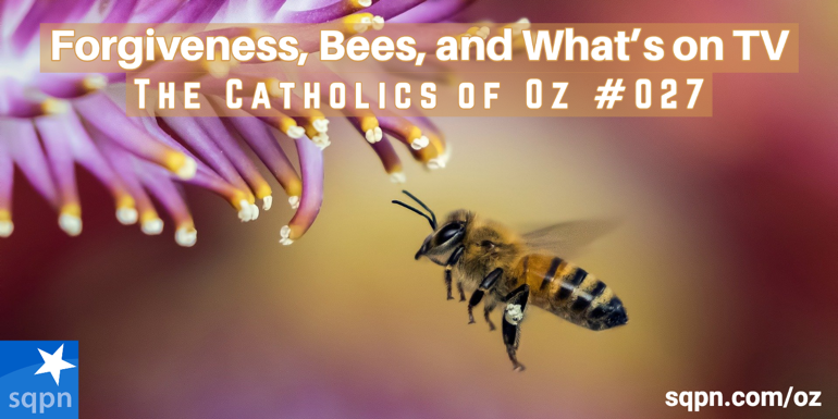 Forgiveness, Bees, and What’s on TV