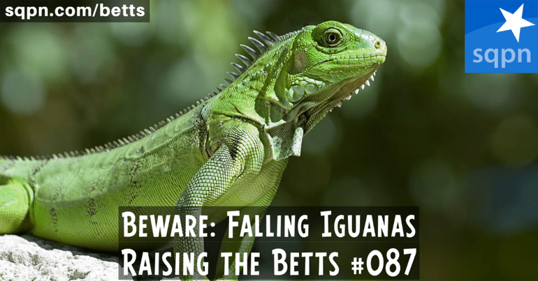 Beware: Falling Iguanas
