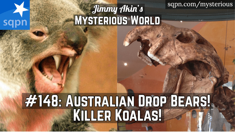 The Fearsome Australian Drop Bear! (Killer Koalas?)