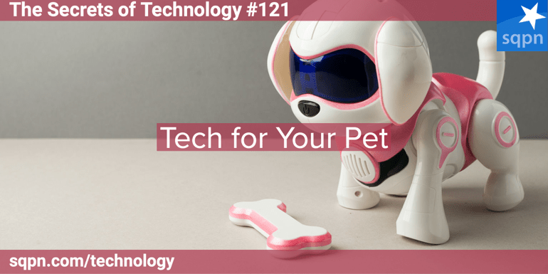 Tech for Your Pet