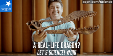 A Real-Life Dragon?