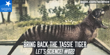 Bring Back the Tassie Tiger