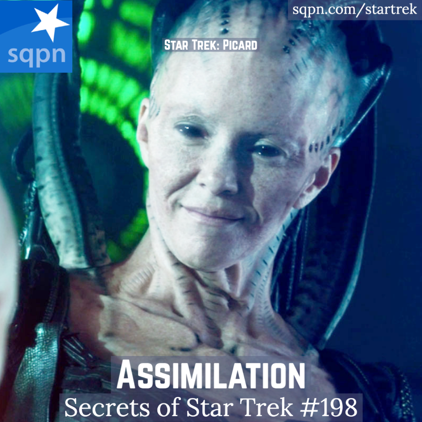 Assimilation (PIC)