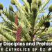 Missionary Disciples and Prehistoric Pines