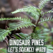 Dinosaur Pines