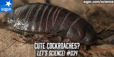 Cute Cockroaches?